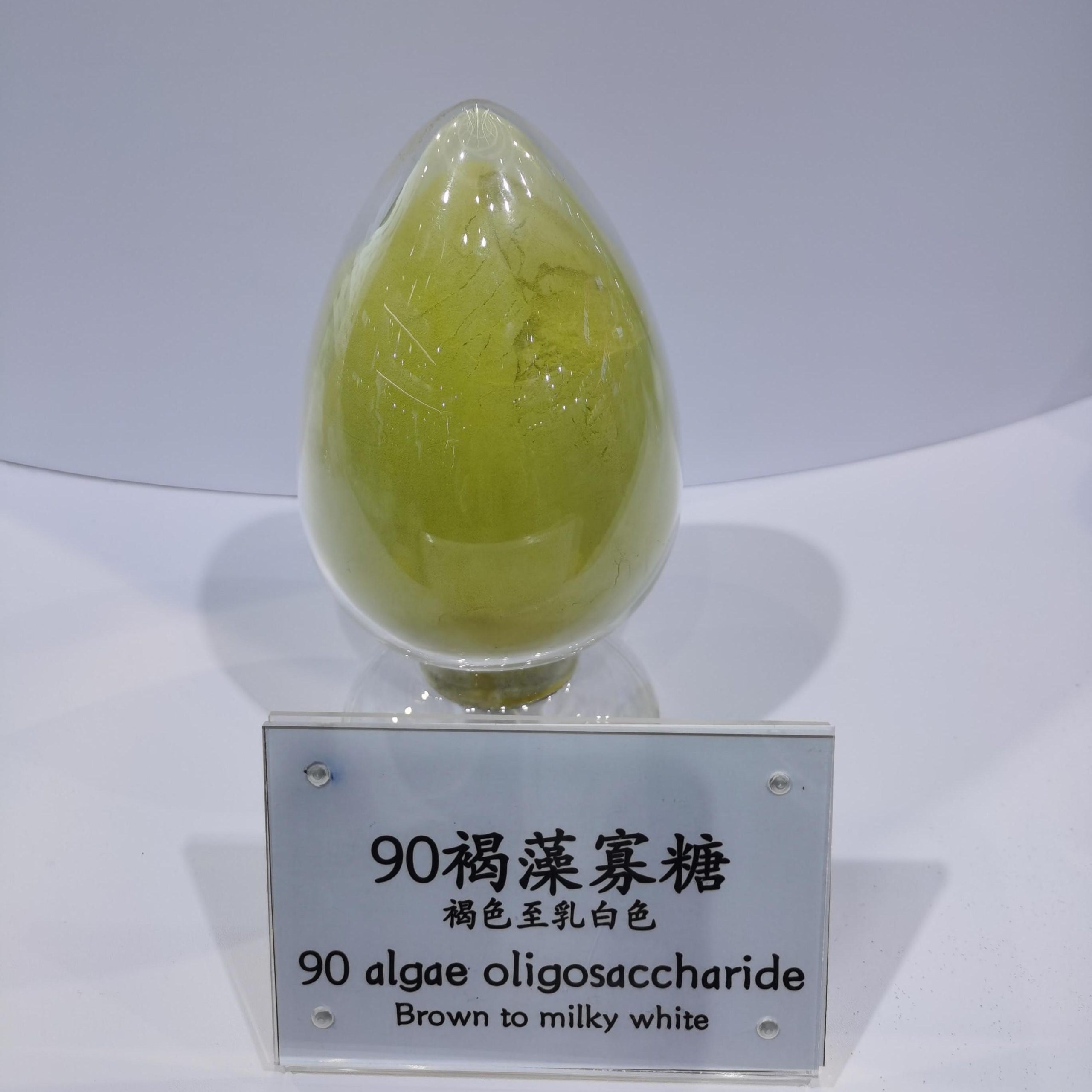 Algae Oligosaccharide Powder