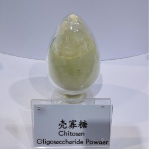 Chitosan Oligosaccharide Powder