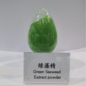Green Seaweed Extract solid