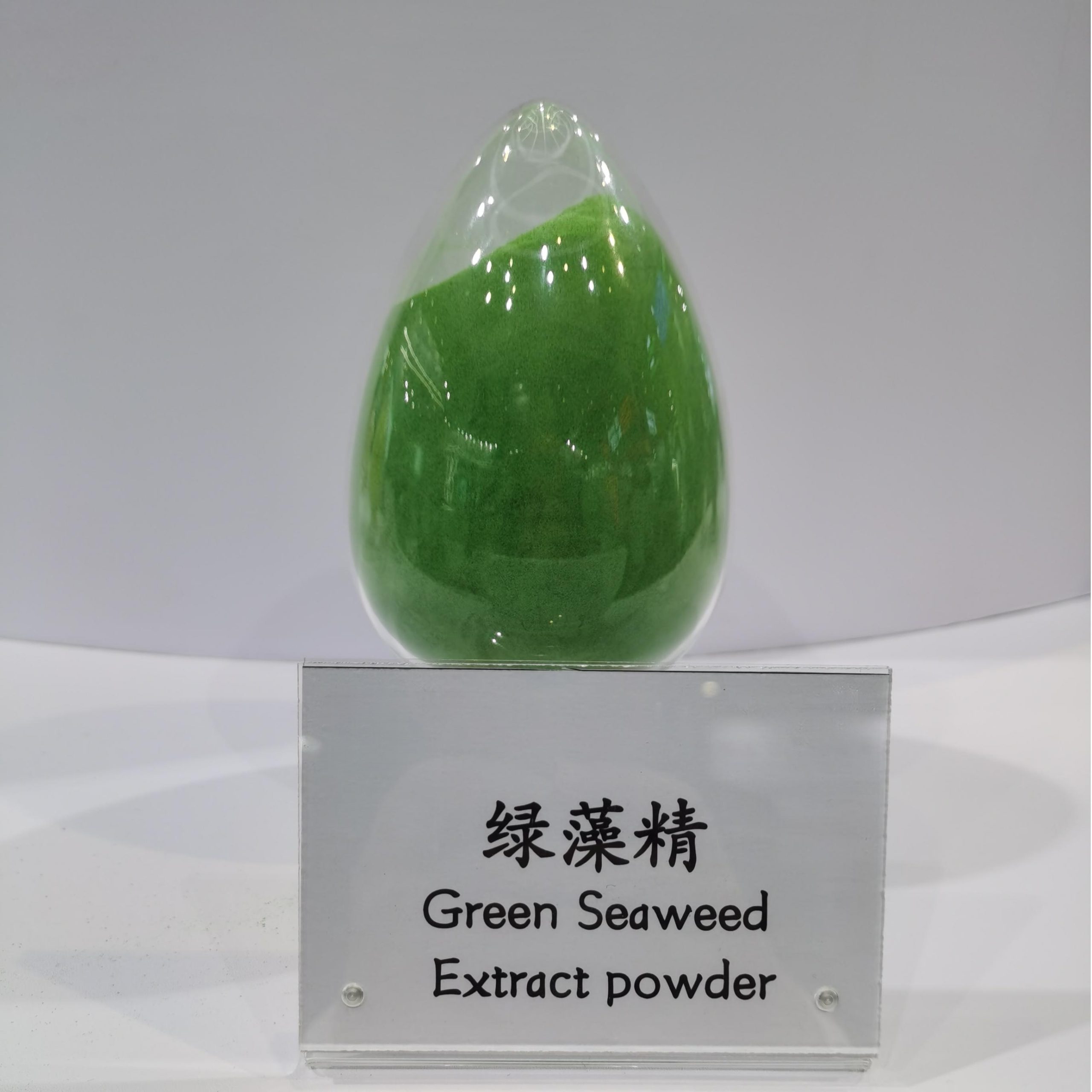 Green Seaweed Extract solid