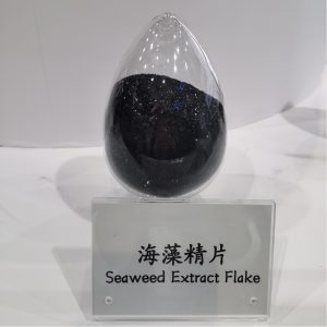 Seaweed Extract Solid