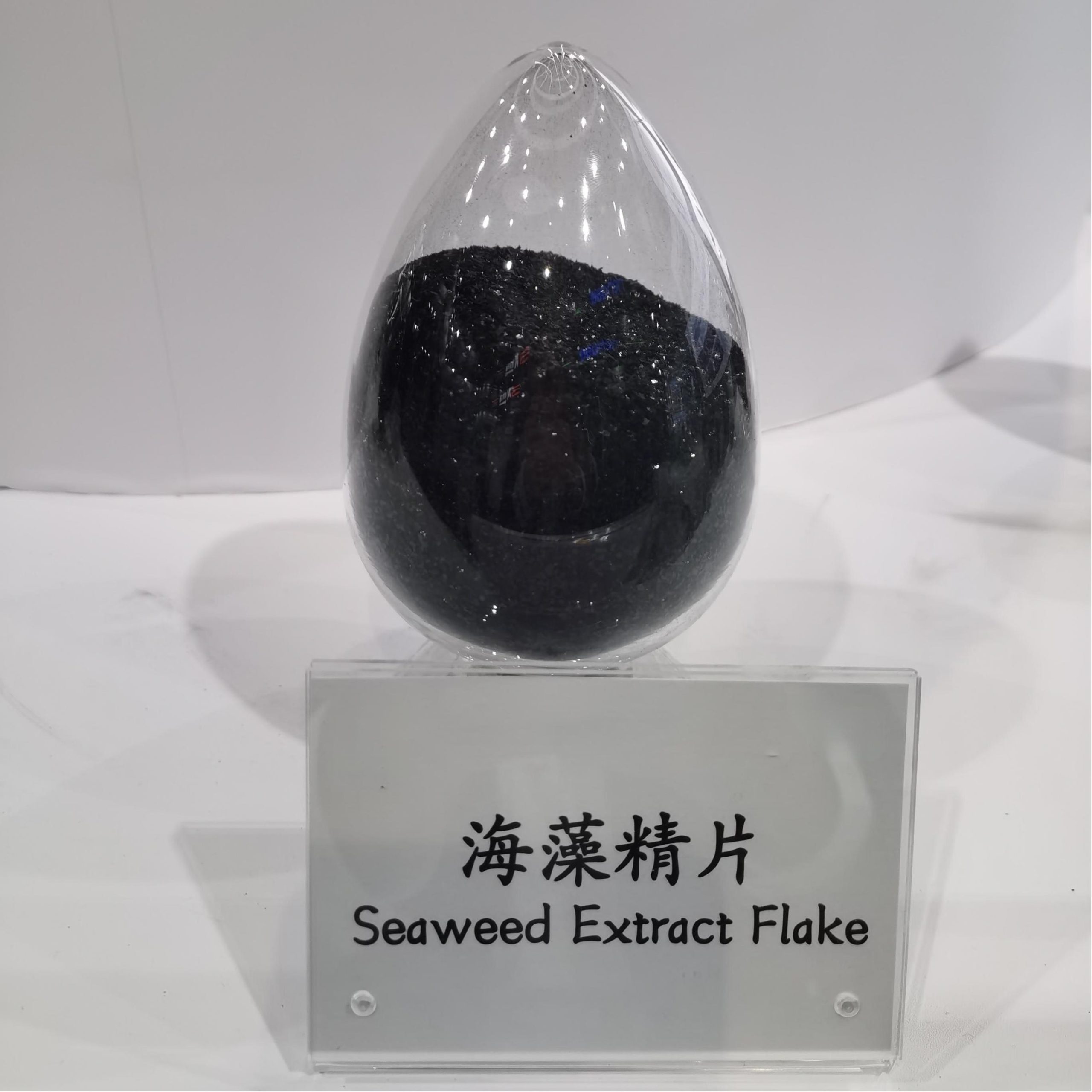 Seaweed Extract Solid