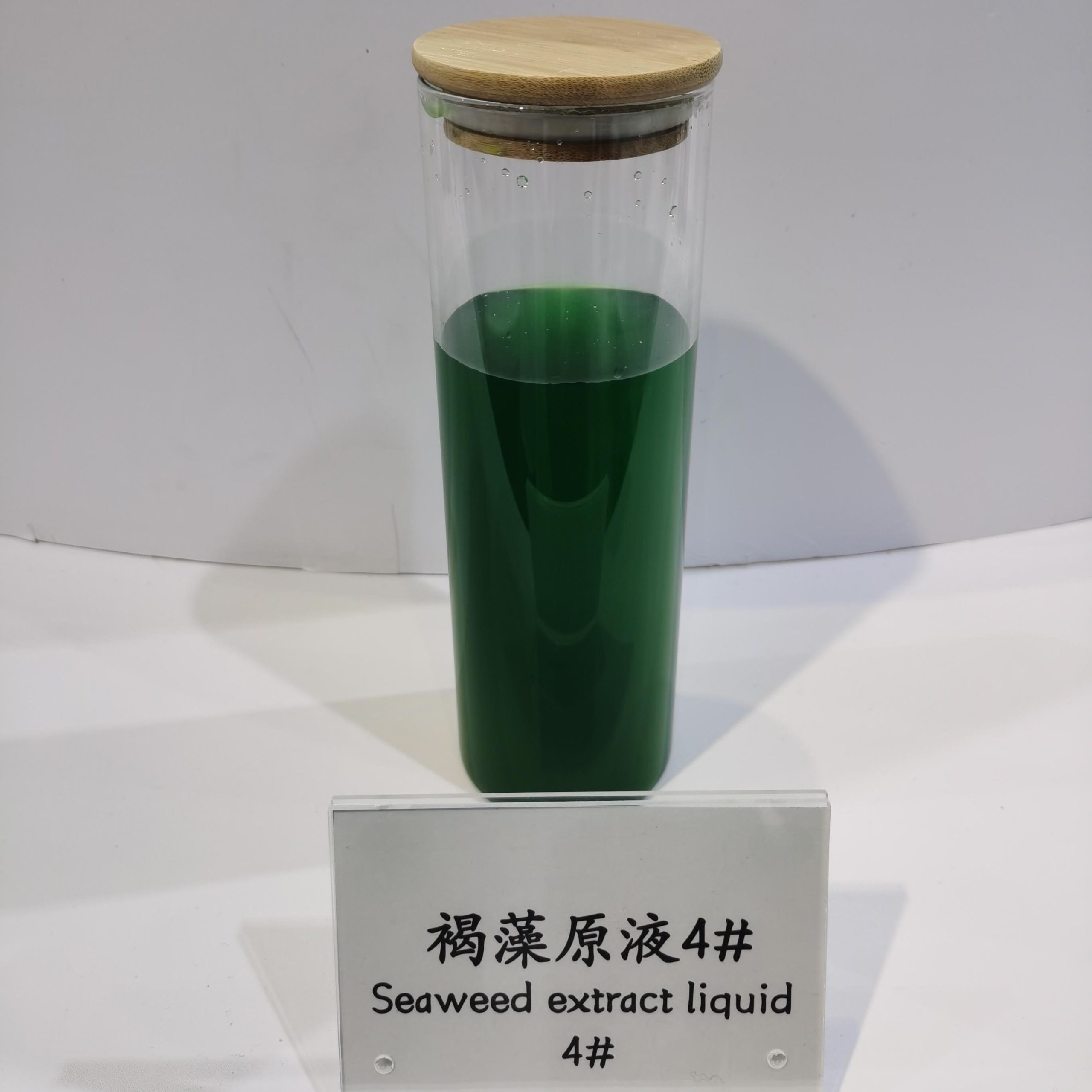 Seaweed Extract Liquid - Image 3