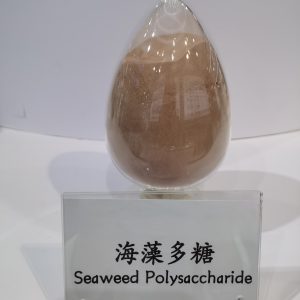 Seaweed Polysaccharide