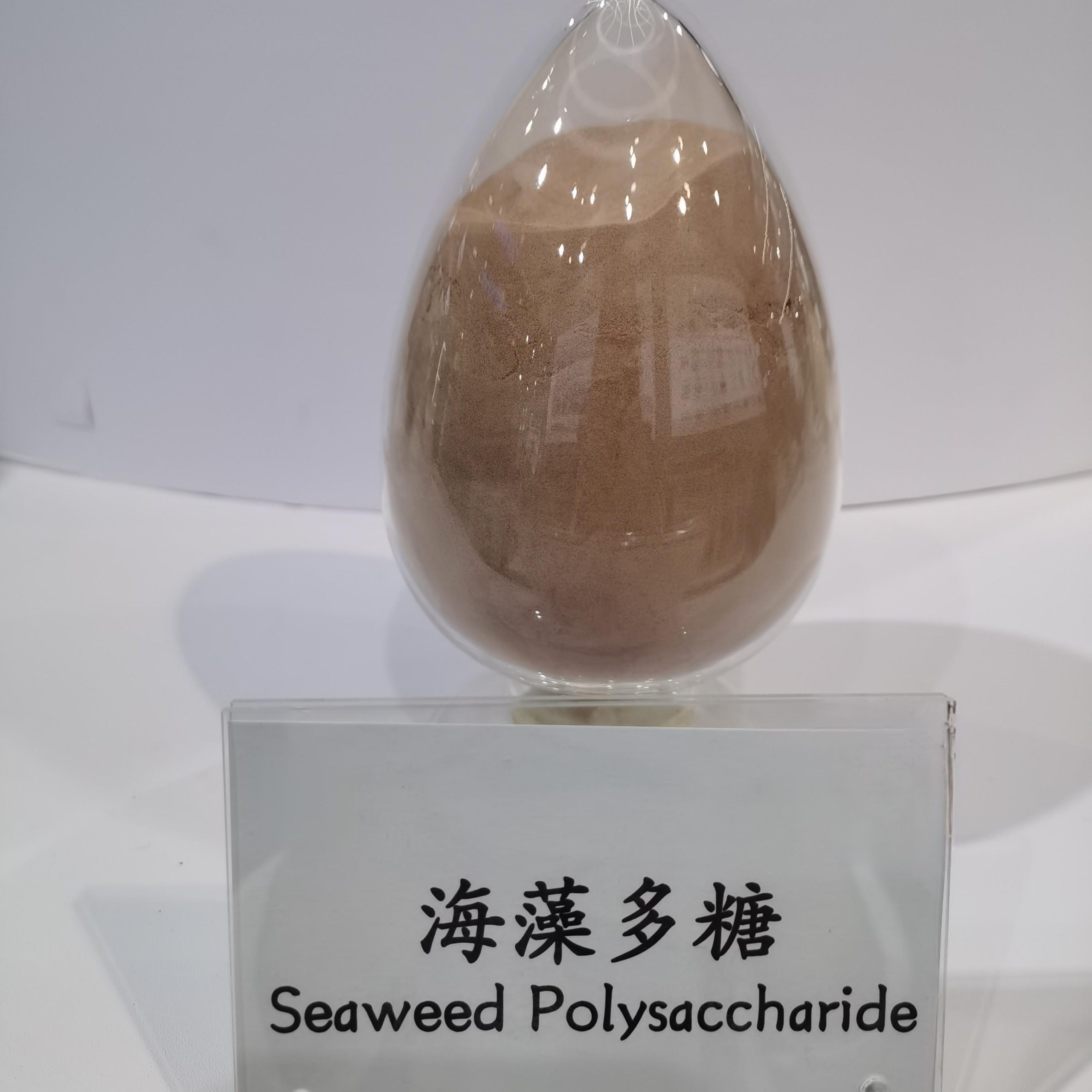 Seaweed Polysaccharide