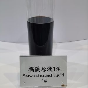 Seaweed Extract Liquid