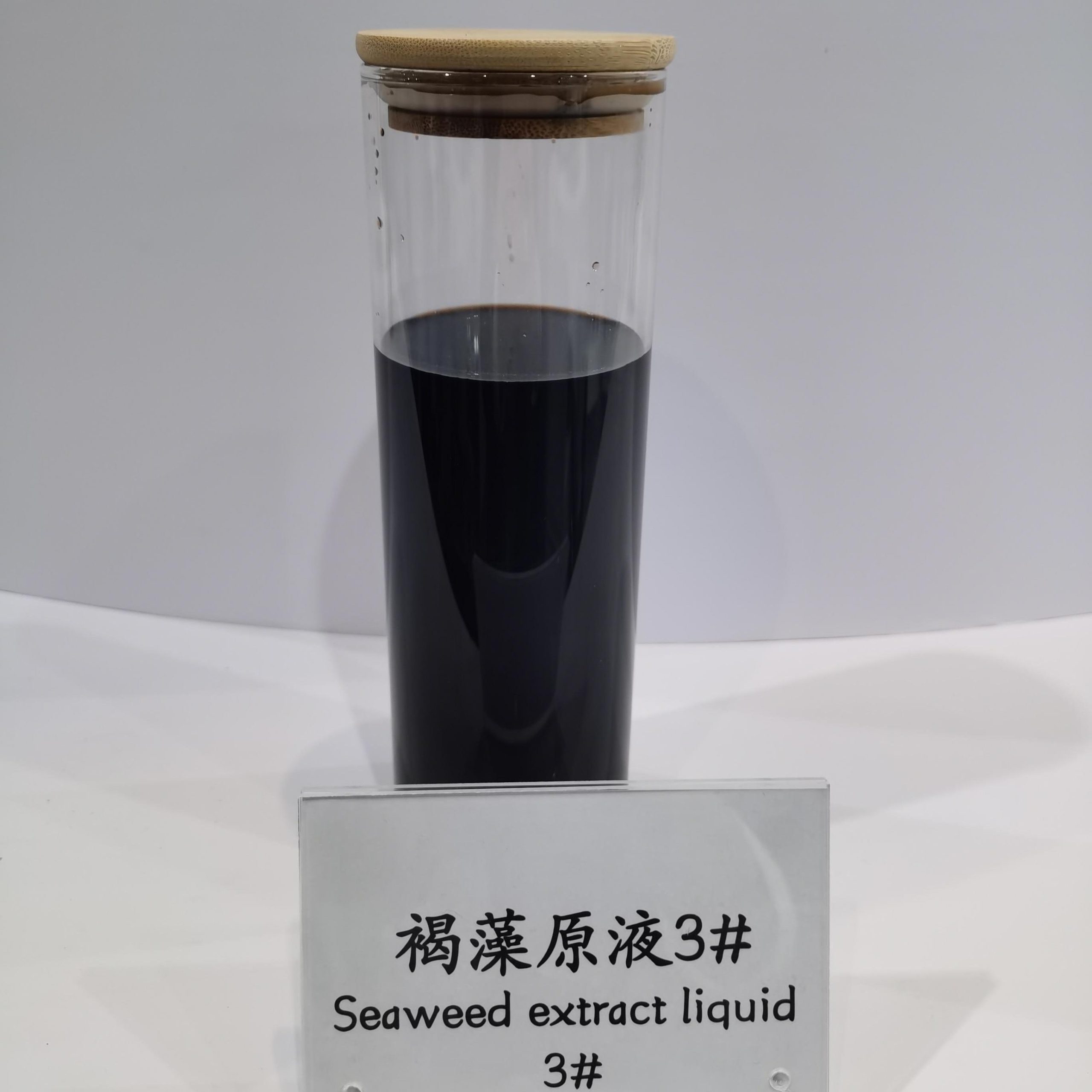 Seaweed Extract Liquid - Image 2