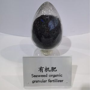 Seaweed organic granular fertilizer