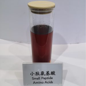 Small Peptide Amino Acids