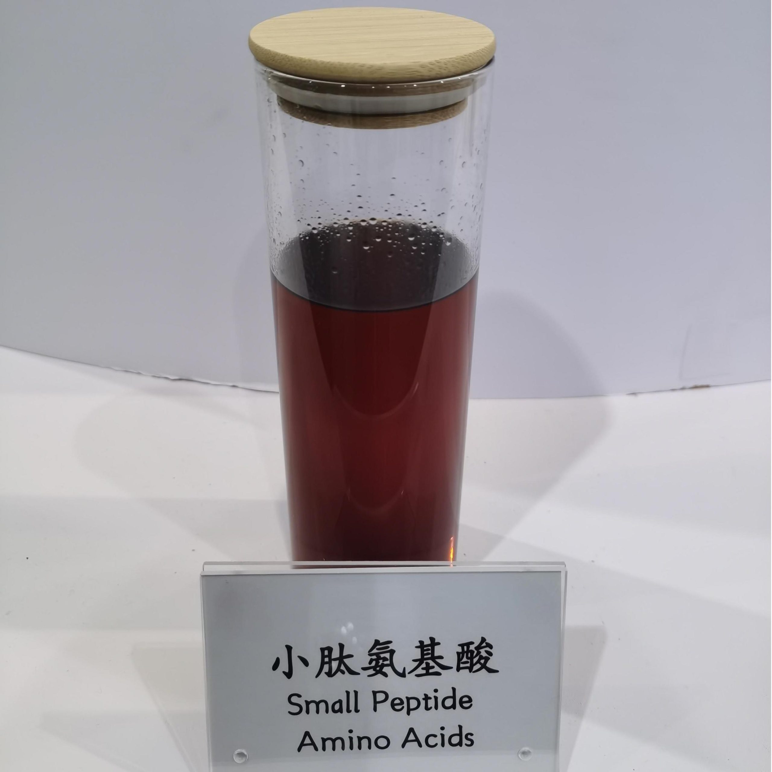 Small Peptide Amino Acids